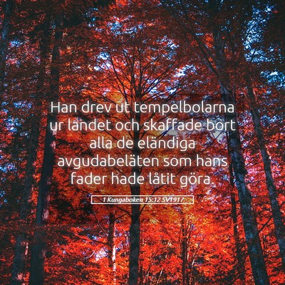 Picture 05 - 1 Kungaboken 15:12 SV1917 - Han drev ut tempelbolarna ur landet och skaffade - Bible Verse Picture