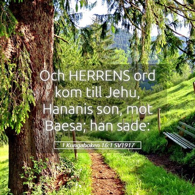 Picture 05 - 1 Kungaboken 16:1 SV1917 - Och HERRENS ord kom till Jehu, Hananis son, mot - Bible Verse Picture