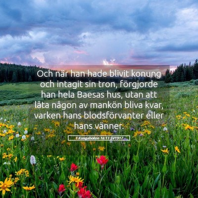 Picture 05 - 1 Kungaboken 16:11 SV1917 - Och när han hade blivit konung och intagit sin - Bible Verse Picture