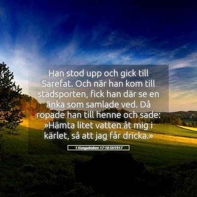 Picture 05 - 1 Kungaboken 17:10 SV1917 - Han stod upp och gick till Sarefat. Och när han - Bible Verse Picture