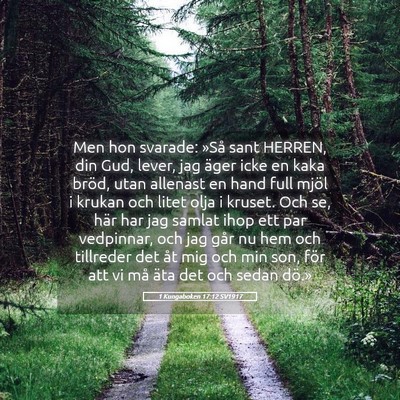 Picture 05 - 1 Kungaboken 17:12 SV1917 - Men hon svarade: »Så sant HERREN, din Gud, - Bible Verse Picture