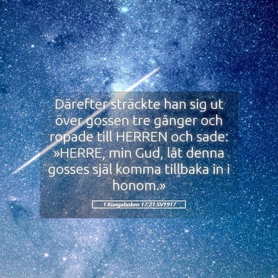 Picture 05 - 1 Kungaboken 17:21 SV1917 - Därefter sträckte han sig ut över gossen tre - Bible Verse Picture