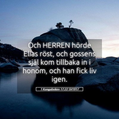Picture 05 - 1 Kungaboken 17:22 SV1917 - Och HERREN hörde Elias röst, och gossens själ - Bible Verse Picture