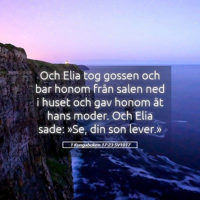 Picture 05 - 1 Kungaboken 17:23 SV1917 - Och Elia tog gossen och bar honom från salen ned - Bible Verse Picture
