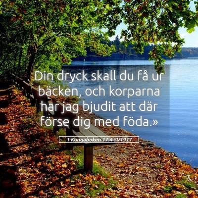 Picture 05 - 1 Kungaboken 17:4 SV1917 - Din dryck skall du få ur bäcken, och korparna - Bible Verse Picture