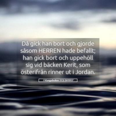 Picture 05 - 1 Kungaboken 17:5 SV1917 - Då gick han bort och gjorde såsom HERREN hade - Bible Verse Picture