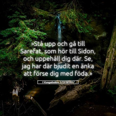Picture 05 - 1 Kungaboken 17:9 SV1917 - »Stå upp och gå till Sarefat, som hör till - Bible Verse Picture