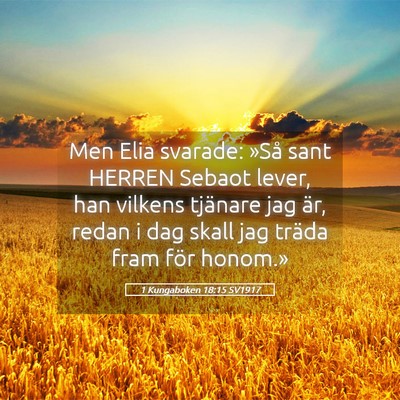 Picture 05 - 1 Kungaboken 18:15 SV1917 - Men Elia svarade: »Så sant HERREN Sebaot lever, - Bible Verse Picture