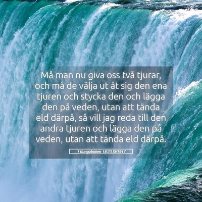 Picture 05 - 1 Kungaboken 18:23 SV1917 - Må man nu giva oss två tjurar, och må de - Bible Verse Picture