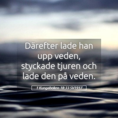 Picture 05 - 1 Kungaboken 18:33 SV1917 - Därefter lade han upp veden, styckade tjuren och - Bible Verse Picture