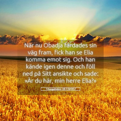 Picture 05 - 1 Kungaboken 18:7 SV1917 - När nu Obadja färdades sin väg fram, fick han - Bible Verse Picture