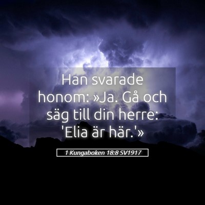 Picture 05 - 1 Kungaboken 18:8 SV1917 - Han svarade honom: »Ja. Gå och säg till din - Bible Verse Picture