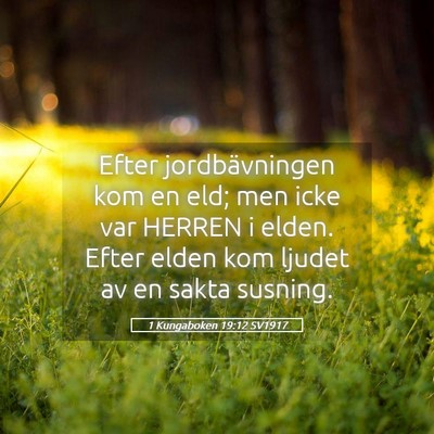 Picture 05 - 1 Kungaboken 19:12 SV1917 - Efter jordbävningen kom en eld; men icke var - Bible Verse Picture