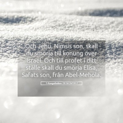 Picture 05 - 1 Kungaboken 19:16 SV1917 - Och Jehu, Nimsis son, skall du smörja till - Bible Verse Picture