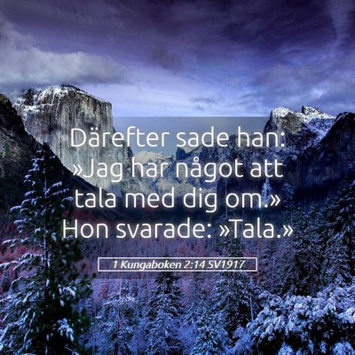 Picture 05 - 1 Kungaboken 2:14 SV1917 - Därefter sade han: »Jag har något att tala med - Bible Verse Picture