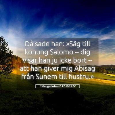 Picture 05 - 1 Kungaboken 2:17 SV1917 - Då sade han: »Säg till konung Salomo -- dig - Bible Verse Picture