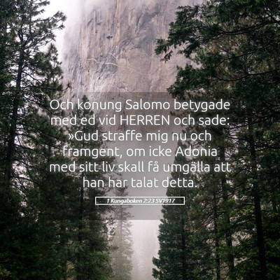 Picture 05 - 1 Kungaboken 2:23 SV1917 - Och konung Salomo betygade med ed vid HERREN och - Bible Verse Picture