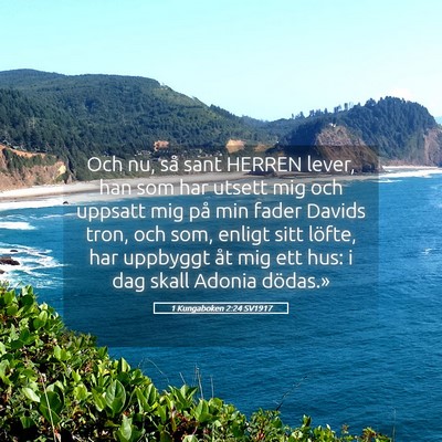 Picture 05 - 1 Kungaboken 2:24 SV1917 - Och nu, så sant HERREN lever, han som har utsett - Bible Verse Picture