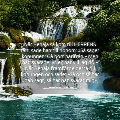 Picture 05 - 1 Kungaboken 2:30 SV1917 - När Benaja så kom till HERRENS tält, sade han - Bible Verse Picture