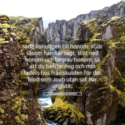 Picture 05 - 1 Kungaboken 2:31 SV1917 - sade konungen till honom: »Gör såsom han har - Bible Verse Picture