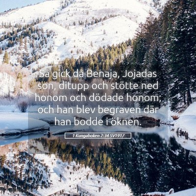 Picture 05 - 1 Kungaboken 2:34 SV1917 - Så gick då Benaja, Jojadas son, ditupp och - Bible Verse Picture