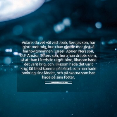 Picture 05 - 1 Kungaboken 2:5 SV1917 - Vidare: du vet väl vad Joab, Serujas son, har - Bible Verse Picture