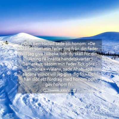 Picture 05 - 1 Kungaboken 20:34 SV1917 - Och Ben-Hadad sade till honom: »De städer som - Bible Verse Picture