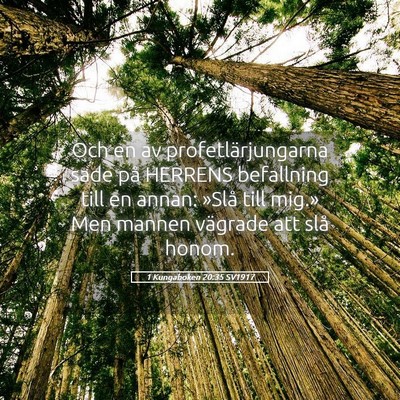 Picture 05 - 1 Kungaboken 20:35 SV1917 - Och en av profetlärjungarna sade på HERRENS - Bible Verse Picture