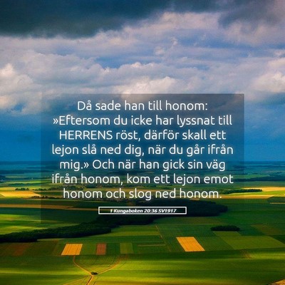 Picture 05 - 1 Kungaboken 20:36 SV1917 - Då sade han till honom: »Eftersom du icke har - Bible Verse Picture