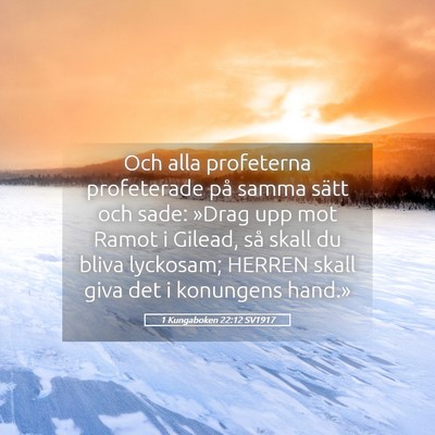 Picture 05 - 1 Kungaboken 22:12 SV1917 - Och alla profeterna profeterade på samma sätt - Bible Verse Picture