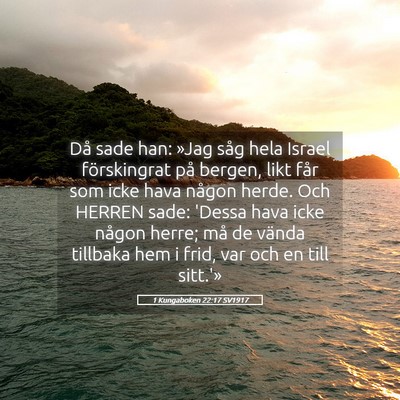 Picture 05 - 1 Kungaboken 22:17 SV1917 - Då sade han: »Jag såg hela Israel förskingrat - Bible Verse Picture