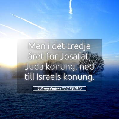 Picture 05 - 1 Kungaboken 22:2 SV1917 - Men i det tredje året for Josafat, Juda konung, - Bible Verse Picture