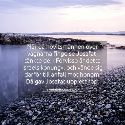 Picture 05 - 1 Kungaboken 22:32 SV1917 - När då hövitsmännen över vagnarna fingo se - Bible Verse Picture