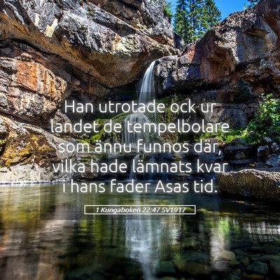 Picture 05 - 1 Kungaboken 22:47 SV1917 - Han utrotade ock ur landet de tempelbolare som - Bible Verse Picture