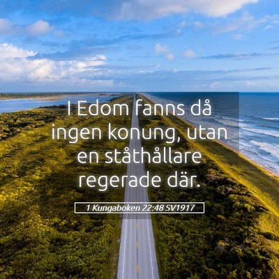 Picture 05 - 1 Kungaboken 22:48 SV1917 - I Edom fanns då ingen konung, utan en - Bible Verse Picture