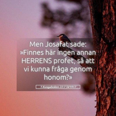 Picture 05 - 1 Kungaboken 22:7 SV1917 - Men Josafat sade: »Finnes här ingen annan - Bible Verse Picture