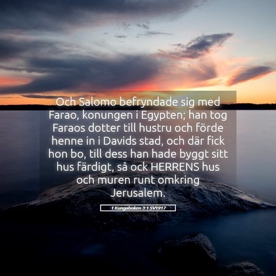 Picture 05 - 1 Kungaboken 3:1 SV1917 - Och Salomo befryndade sig med Farao, konungen i - Bible Verse Picture