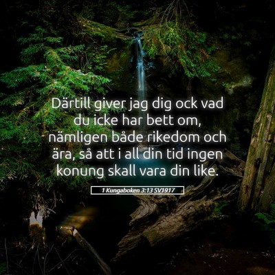 Picture 05 - 1 Kungaboken 3:13 SV1917 - Därtill giver jag dig ock vad du icke har bett - Bible Verse Picture