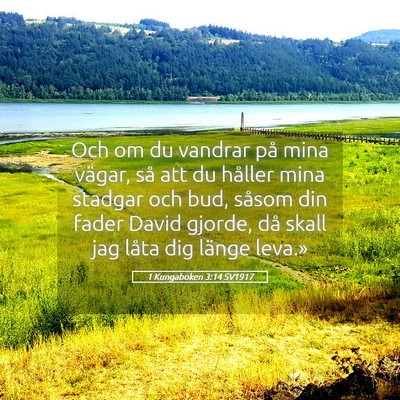 Picture 05 - 1 Kungaboken 3:14 SV1917 - Och om du vandrar på mina vägar, så att du - Bible Verse Picture