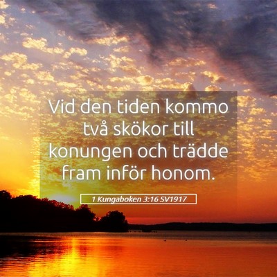 Picture 05 - 1 Kungaboken 3:16 SV1917 - Vid den tiden kommo två skökor till konungen - Bible Verse Picture