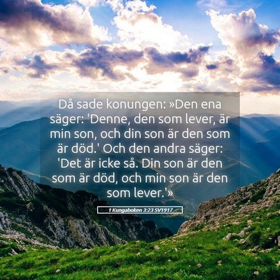Picture 05 - 1 Kungaboken 3:23 SV1917 - Då sade konungen: »Den ena säger: 'Denne, den - Bible Verse Picture