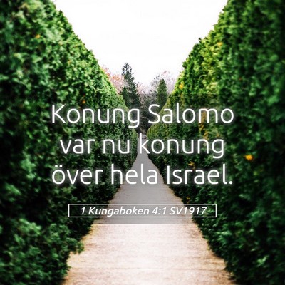 Picture 05 - 1 Kungaboken 4:1 SV1917 - Konung Salomo var nu konung över hela - Bible Verse Picture