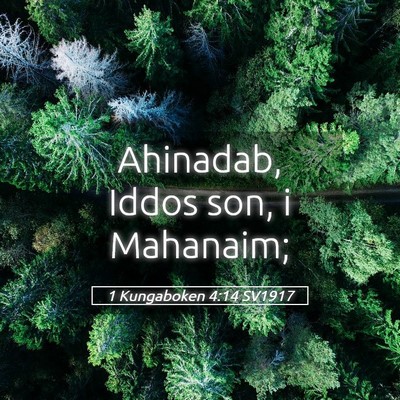 Picture 05 - 1 Kungaboken 4:14 SV1917 - Ahinadab, Iddos son, i - Bible Verse Picture