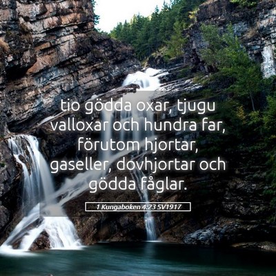 Picture 05 - 1 Kungaboken 4:23 SV1917 - tio gödda oxar, tjugu valloxar och hundra far, - Bible Verse Picture