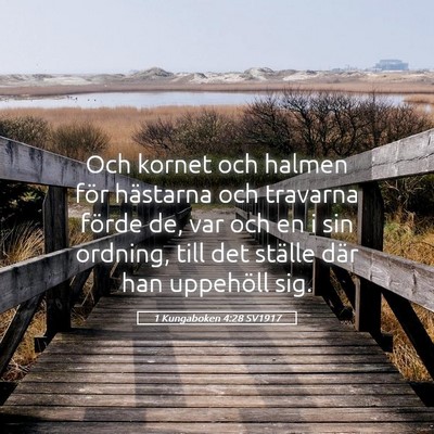 Picture 05 - 1 Kungaboken 4:28 SV1917 - Och kornet och halmen för hästarna och travarna - Bible Verse Picture