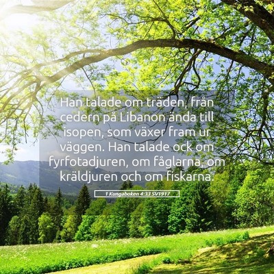 Picture 05 - 1 Kungaboken 4:33 SV1917 - Han talade om träden, från cedern på Libanon - Bible Verse Picture