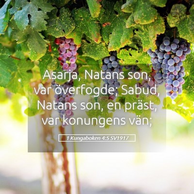 Picture 05 - 1 Kungaboken 4:5 SV1917 - Asarja, Natans son, var överfogde; Sabud, Natans - Bible Verse Picture