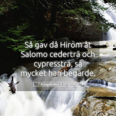 Picture 05 - 1 Kungaboken 5:10 SV1917 - Så gav då Hirom åt Salomo cederträ och - Bible Verse Picture