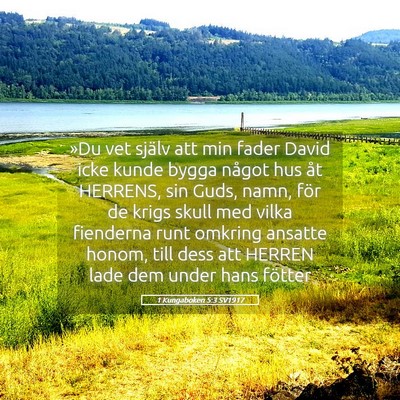 Picture 05 - 1 Kungaboken 5:3 SV1917 - »Du vet själv att min fader David icke kunde - Bible Verse Picture