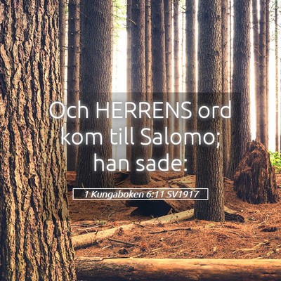 Picture 05 - 1 Kungaboken 6:11 SV1917 - Och HERRENS ord kom till Salomo; han - Bible Verse Picture